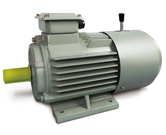 YEJ2電磁制動(dòng)三相異步電動(dòng)機(jī)